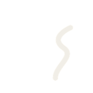 Selo FS, Dr. Fabio Salomão